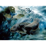 Gentle Giants - Manatee by marine watercolor artist Linda Thompson