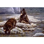 The Adventurers - Black Bear Cubs by artist Paco Young