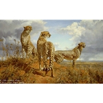 Cheetah Trio by artist Donald Grant
