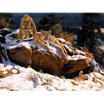 Rocky Mountain Cougars by artist Dino Paravano