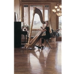 Private Recital - harp by artist Steve Hanks