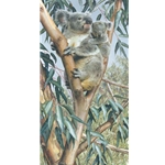 Up a Gum With Mum - Koala by wildlife artist Carl Brenders