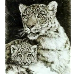 Quiet Moment - Snow leopard mother and cub by wildlife artist Chris Calle