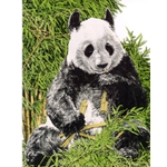 Giant Panda by wildlife artist Chris Calle
