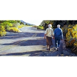 Young at Heart - older couple walk along road by artist Steve Hanks