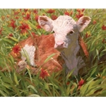 Under the Indian Blanket - Young calf by artist Bruce Greene