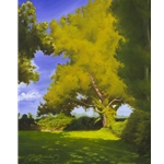 Sycamore - Trees by artist Gary Hernandez