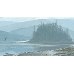 Along the Coast - Bald Eagle by Robert Bateman