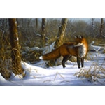 Chance Encounter red fox by wildlife artist Jim Hautman