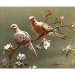 Doves and Apple Blossoms by wildlife artist Joe Hautman