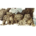 Curious Cubs - Snow Leopard Cubs by wildlife artist Chris Calle