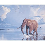 Patrolling the Shore - Elephant by wildlife artist Lindsay Scott