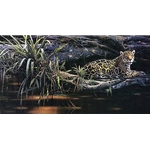 Emerald Forest - Jaguar by Daniel Smith