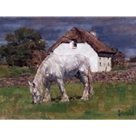White on White - Horse by Bradley Schmehl