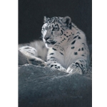 Faraway Eyes - snow leopard by wildlife artist Patricia Pepin