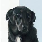 In the Ruff - Guilty (black lab) by canine artist Gretta Gibney