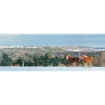 Winter Boundaries - draft horses by landscape artist Brent Townsend