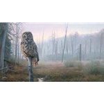 Silent Hunter - Great Gray Owl by wildlife artist Brent Townsend