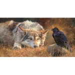 News and Commentary - wolf and raven exchanging views by wildlife artist Bonnie Marris