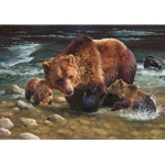 Testing the Waters - grizzly family by wilderness artist Bonnie Marris