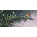 Wildflower Suite - Rufous Hummingbird and Mountain Hemlock by wildlife artist Stephen Lyman