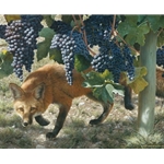 Between the Vines ~ Red Fox - vineyard prowler by wildlife artist Carl Brenders