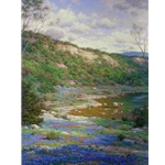 Texas Spring by Larry Dyke
