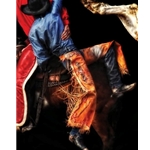 Pick Up - Rodeo by photographer Karen Kelly