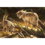 Lucky Catch - wolves with trout for supper by artist Bonnie Marris
