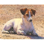 Tough as Stones - Jack Russell Terrier by artist Bonnie Marris