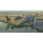 Mustang Country by Robert Bateman