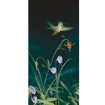 Morning Dew - Hummingbird by artist Stephen Lyman