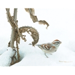 Tree Sparrow and Teasel by Robert Bateman