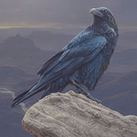 Canyon Vista - Raven by Daniel Smith