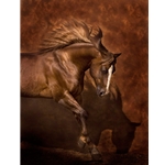 Horse Dancer by Robert Dawson