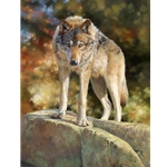 Eye to Eye - timber wolf face to face by wildlife artist Bonnie Marris