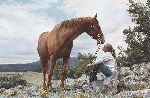 From a Higher Level by Steve Hanks