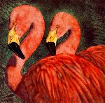Our Ladies of the Front Lawn - Flamingo pair by artist Will Bullas