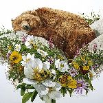 Bugged Bear by Bev Doolittle