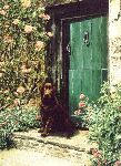 The Sentry - Chocolate Labrador Retriever by canine aritst Jessica Holm