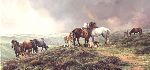 The Dartmoor Ponies by wildlife artist Bonnie Marris