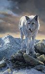 Of Myth and Magic - Arctic White Wolf by wildlife artist Bonnie Marris