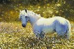 Sun Bath - White Horse by artist Bonnie Marris