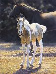 Sun Splashed - Mare with foal by artist Bonnie Marris