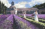 Lavender by Heide Presse