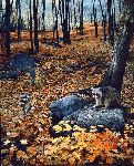 Autumn Hillside - Raccoons by wildlife artist Brent Townsend