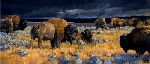 Restless - Bison under stormy skies by western wildlife artist Nancy Glazier