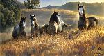 Amazing Grays III - Wild Horses by wildlife artist Nancy Glazier