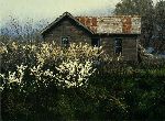 Wild Plum - Old farmhouse by landscape artist George Hallmark