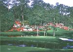 The 15th at Augusta by Larry Dyke